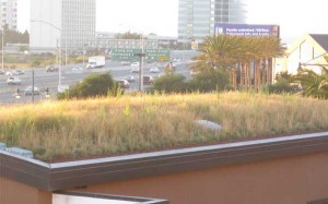 living-roof2