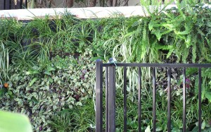 living-walls-1