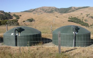 rainwater-1